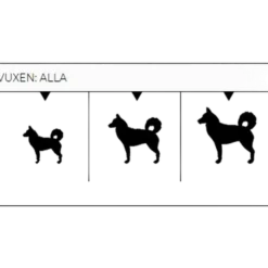 Adult All Breed kylling og potet 10 kg
