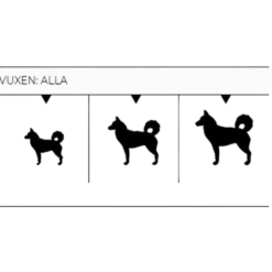 Adult All Breed Laks og potet uten korn 10 kg