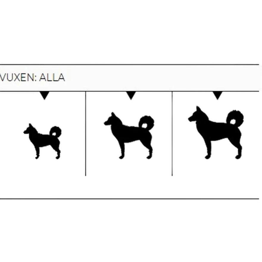 Adult All Breed Laks og potet uten korn 10 kg