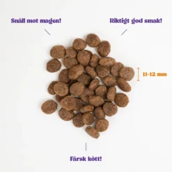 Adult Cat Regular Kylling 2 kg
