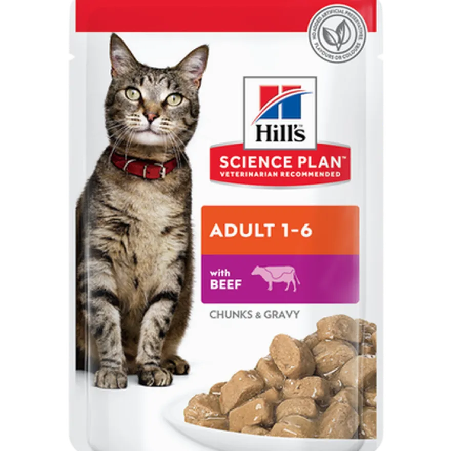 Adult Chicken Ocean Fish Beef Pouch - Wet Cat Food 48 x 85 g