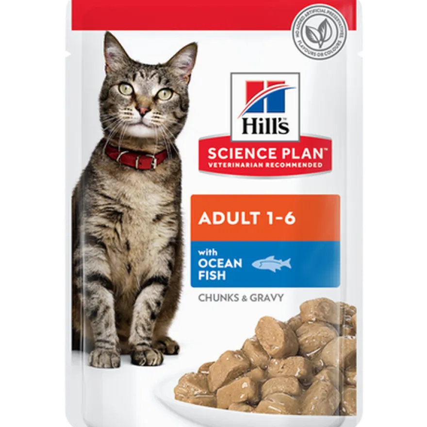 Adult Chicken Ocean Fish Beef Pouch - Wet Cat Food 48 x 85 g