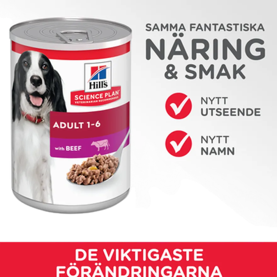 Adult Delicious Beef Can - Wet Dog Food 370 g