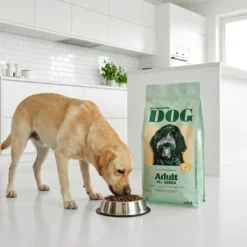 Adult Dog Regular Kylling 12 kg