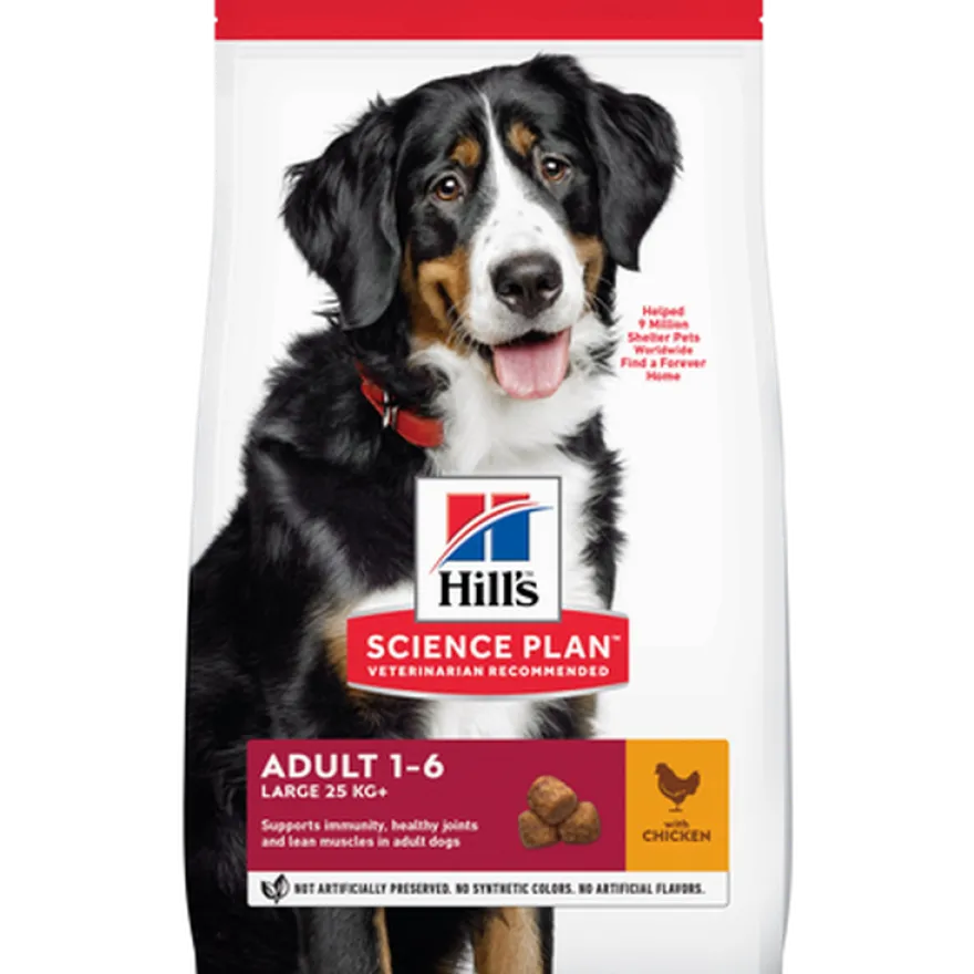 Adult Large Breed Chicken - Dry Dog Food 14 kg