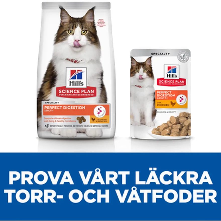 Adult Perfect Digestion Chicken & Rice - Dry Cat Food 7 kg