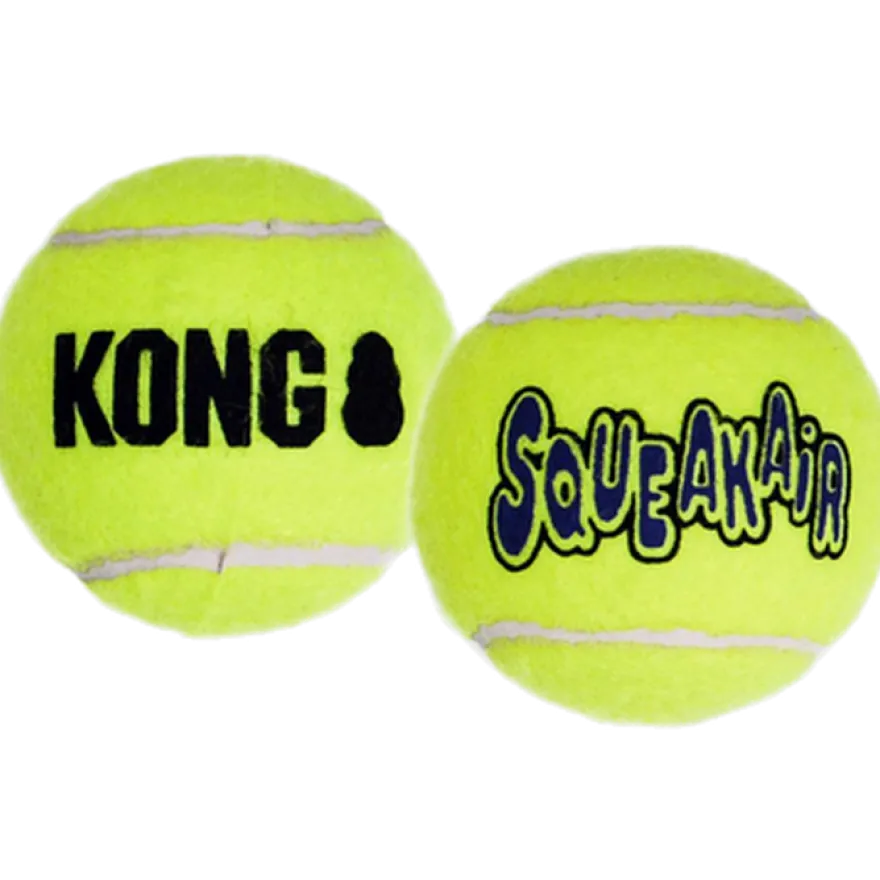 Air Dog Squeakers Ball Toy