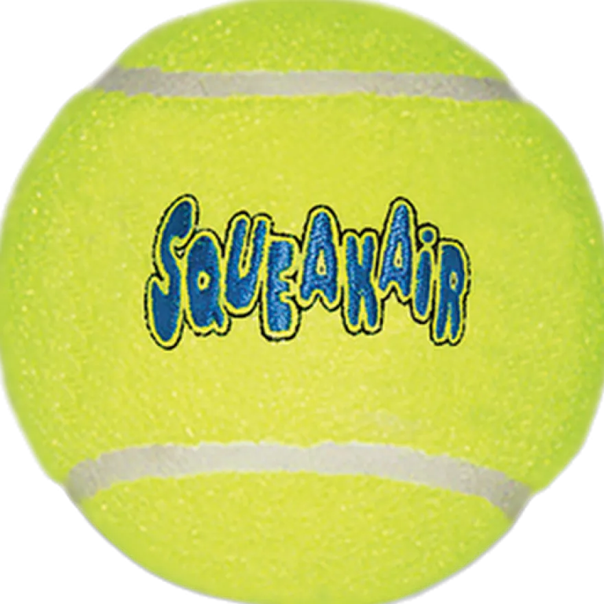 Air Dog Squeakers Ball Toy