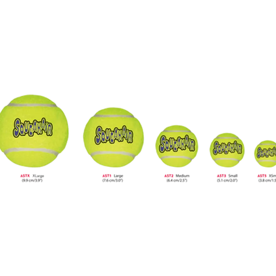 Air Dog Squeakers Ball Toy