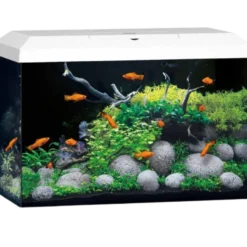 Akvarium Primo 70 Hvit 2.0 61x31x44 cm 70L