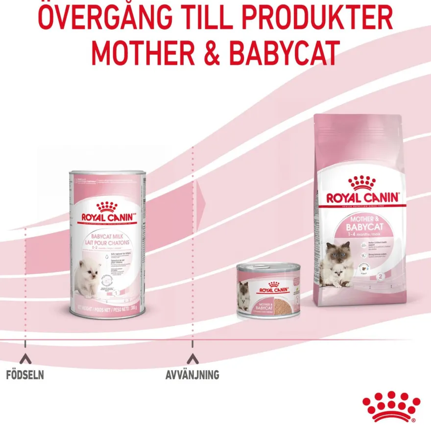 Babycat Milk 300 g