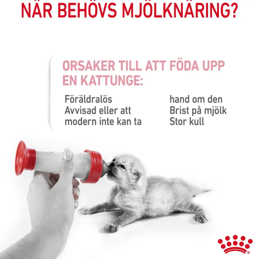 Babycat Milk 300 g