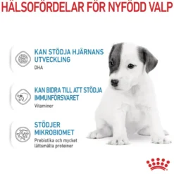 Babydog Milk Startmelk for hunder 400 g