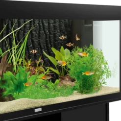 Bakgrunn STR 600 Svart 60 cm