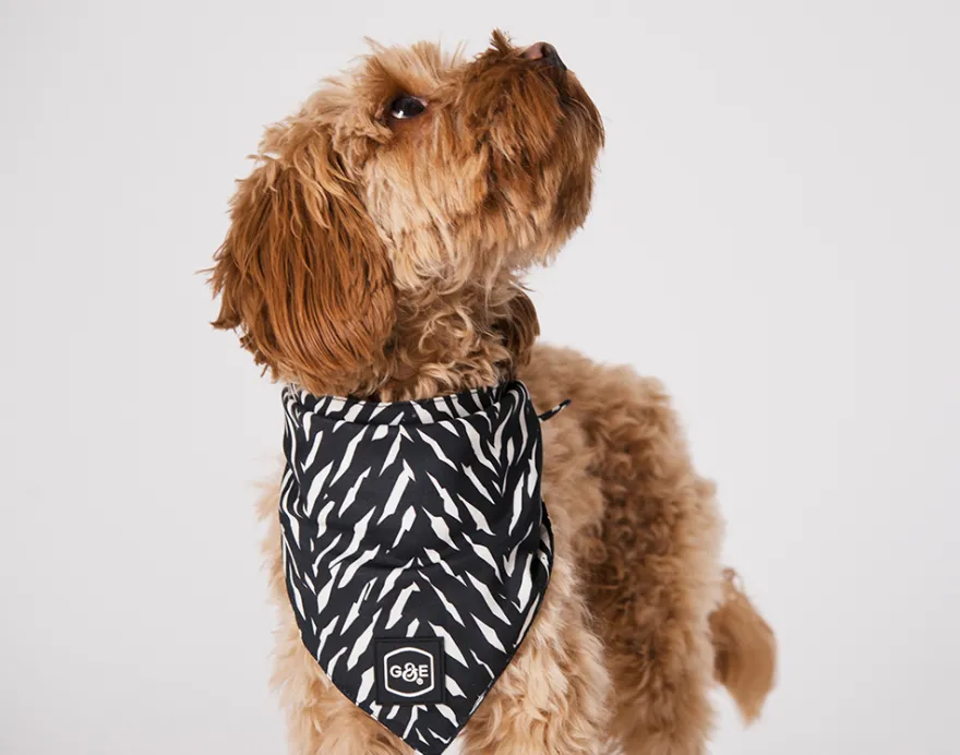 Bandana Finessish