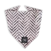 Bandana Modish