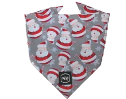 Bandana Santa