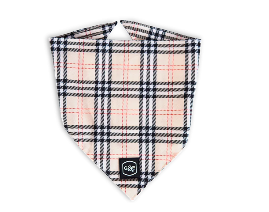 Bandana Stilish