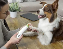 Batteridrevet neglefil 2-trinns batteridrevet neglefil Turkis