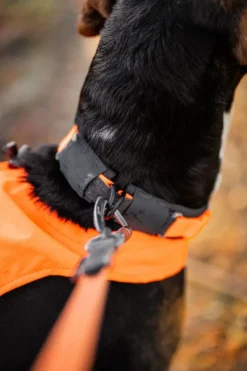 Beskyttende krage 45 oransje