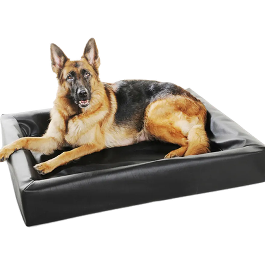 Biabed Ortho Black No. 2 - 50 x 60 cm