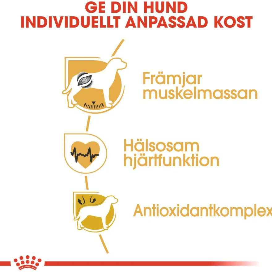 Boxer Adult tørrfôr for hunder 12 kg