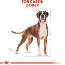 Boxer Adult tørrfôr for hunder 12 kg