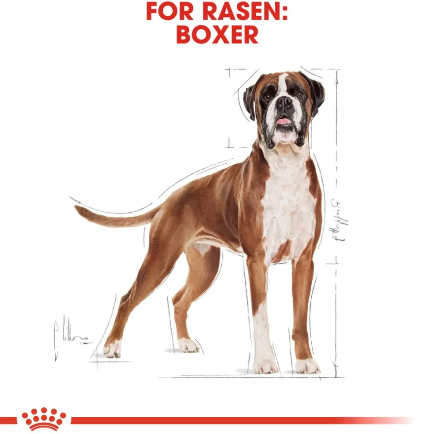 Boxer Adult tørrfôr for hunder 12 kg