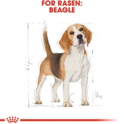 Breed Beagle Adult tørrfôr for hunder 12 kg