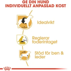 Breed Beagle Adult tørrfôr for hunder 12 kg