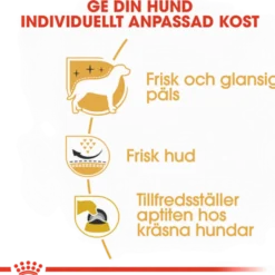 Breed West Highland Terrier Adult tørrfôr til hund 3 kg