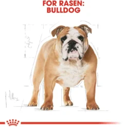 Bulldog Adult tørrfôr for hunder 12 kg
