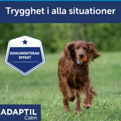 Calm for Dogs - hundehalsbånd 62,5 cm