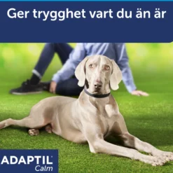 Calm for Dogs - hundehalsbånd 62,5 cm