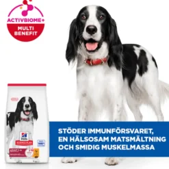 Canine Adult Medium Chicken 6kg