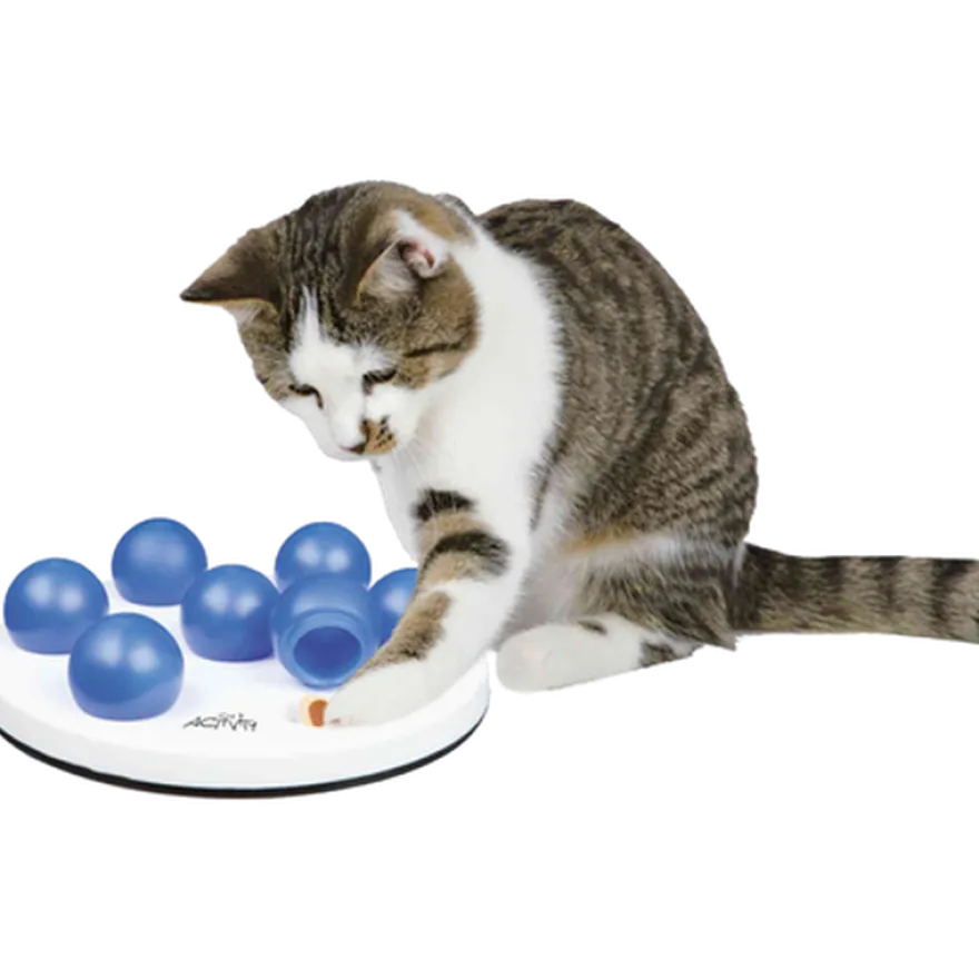 Cat Activity Solitaire Strategy Game 20 cm