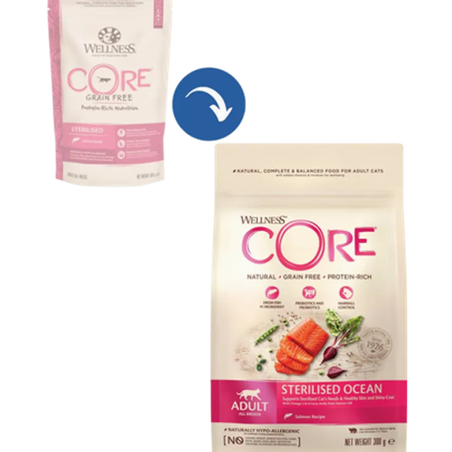 Cat Adult Sterilised Grain Free Salmon Dry Dry 4 kg