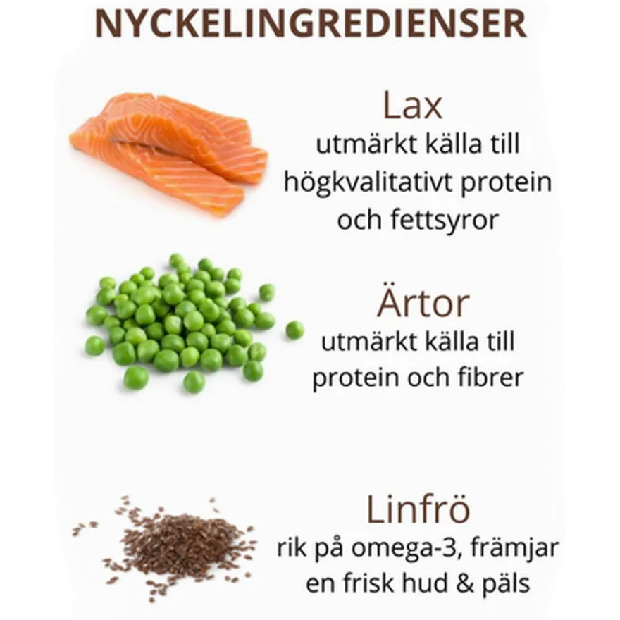 Cat Adult Sterilised Grain Free Salmon Dry Dry 4 kg