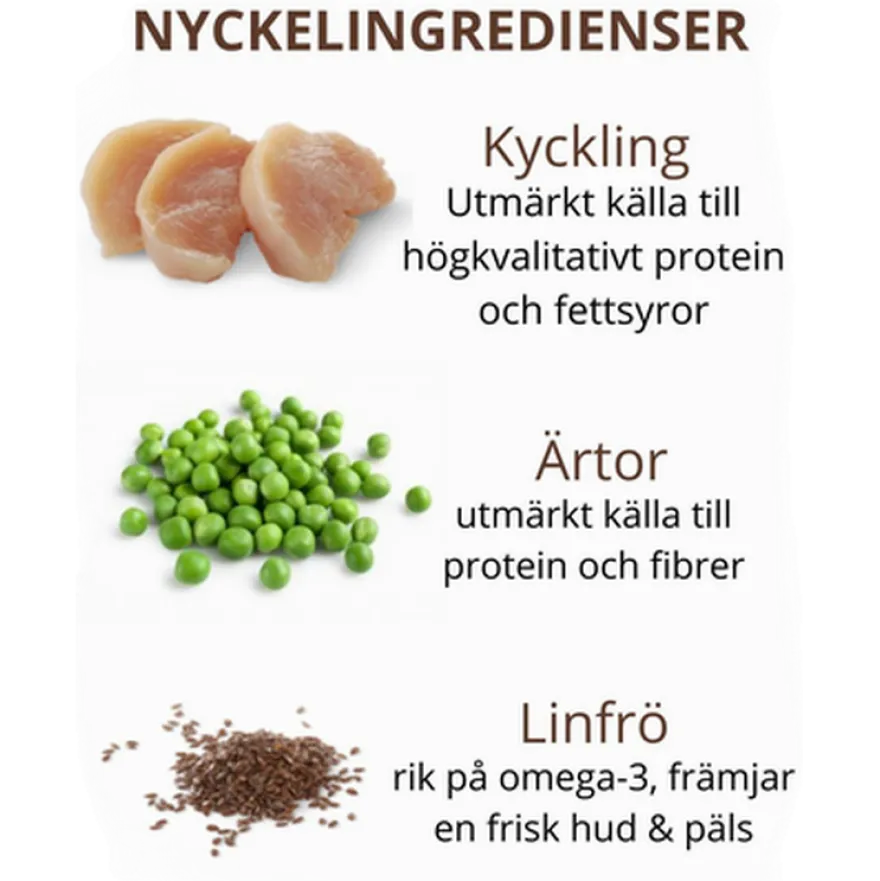Cat Adult Sterilised Grain Free kylling og kalkun tørr 4 kg