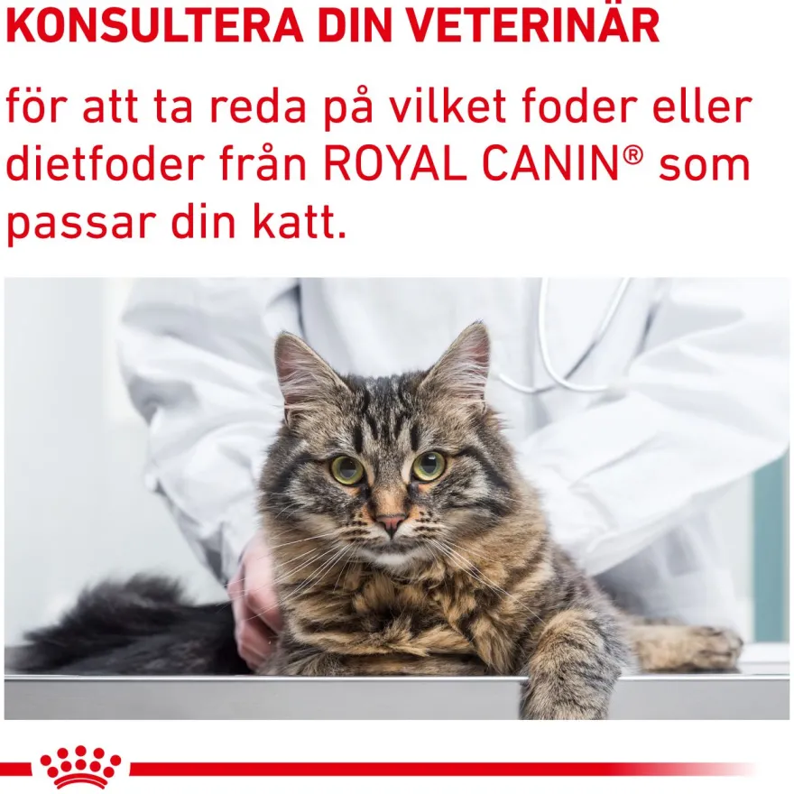 Cat Calm 4 kg