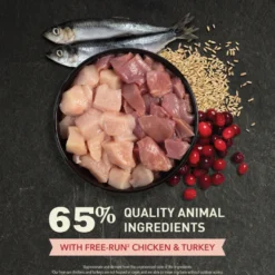 Cat Chicken & Herring Indoor Entrée 4,5 kg