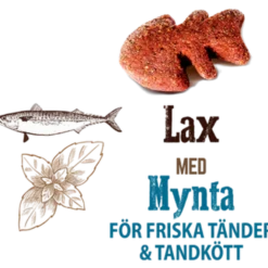 Cat Crunchy Snack Salmon & Mint 50 g x 10 stk.