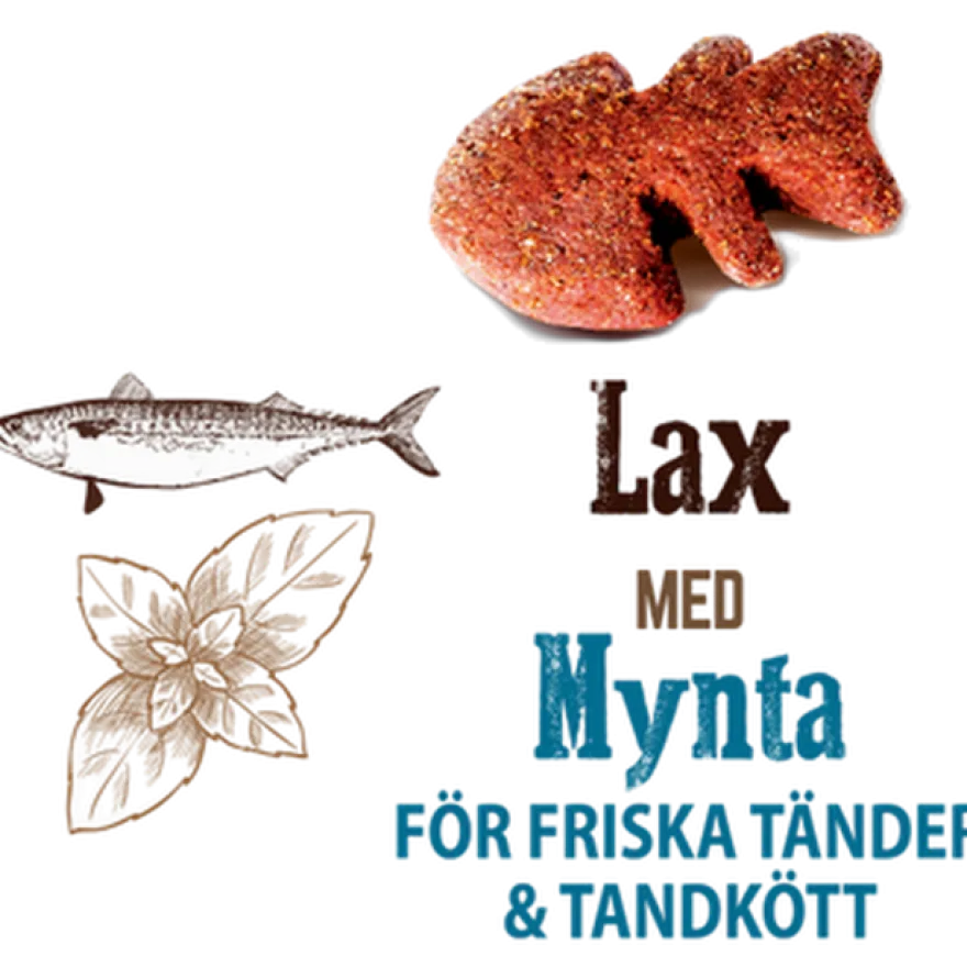 Cat Crunchy Snack Salmon & Mint 50 g x 10 stk.