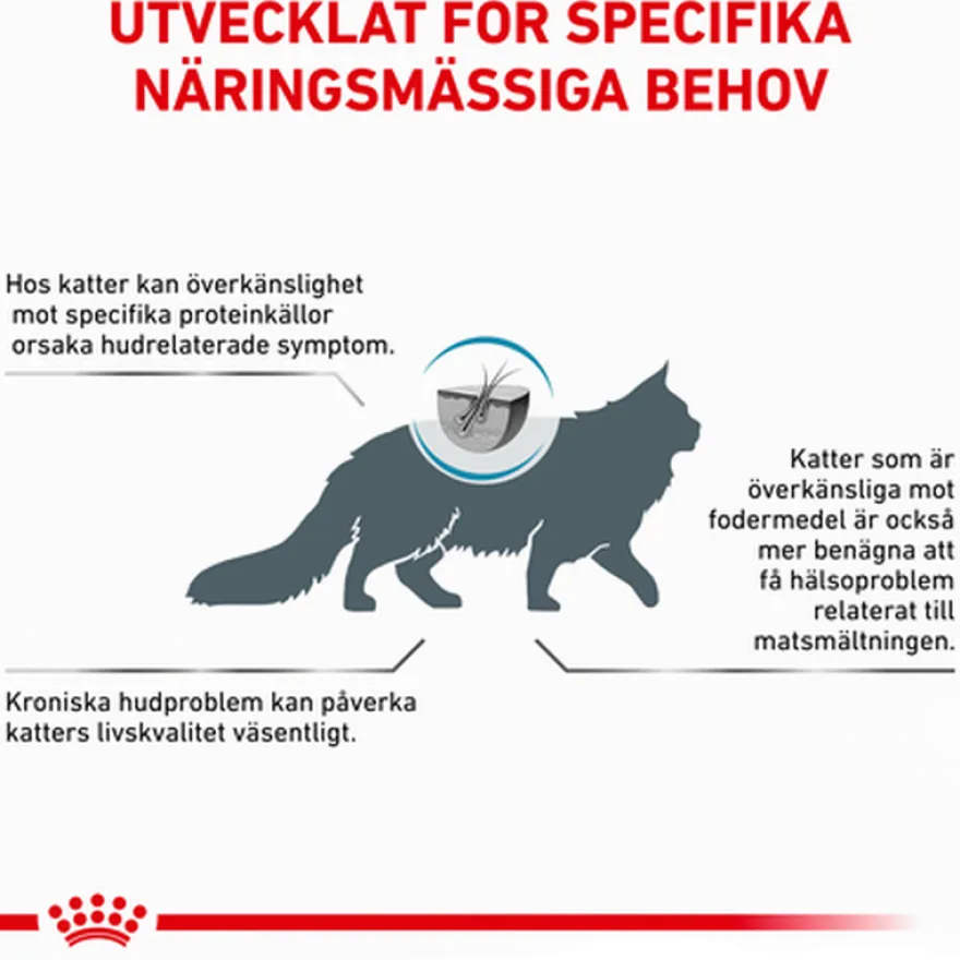 Cat Derma Anallergenic 4 kg