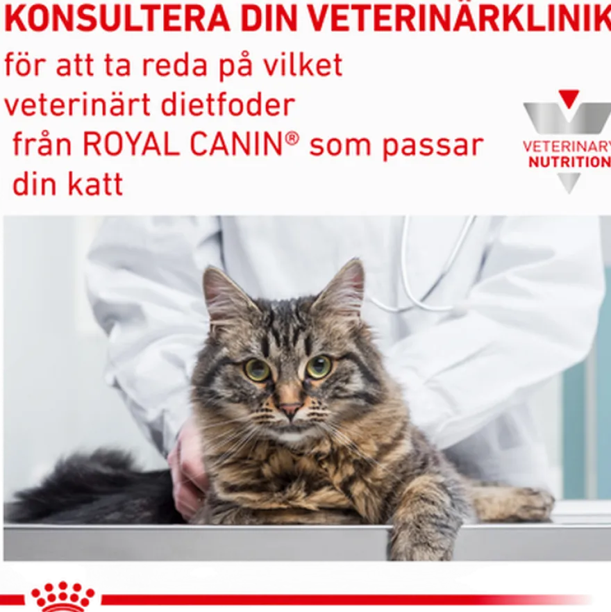 Cat Derma Anallergenic 4 kg