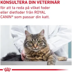 Cat Gastro Fibre Response 4 kg