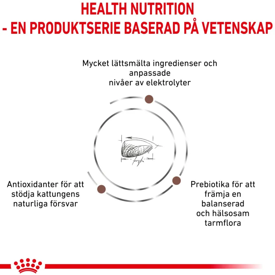 Cat Gastro Intestinal Kitten 400 g