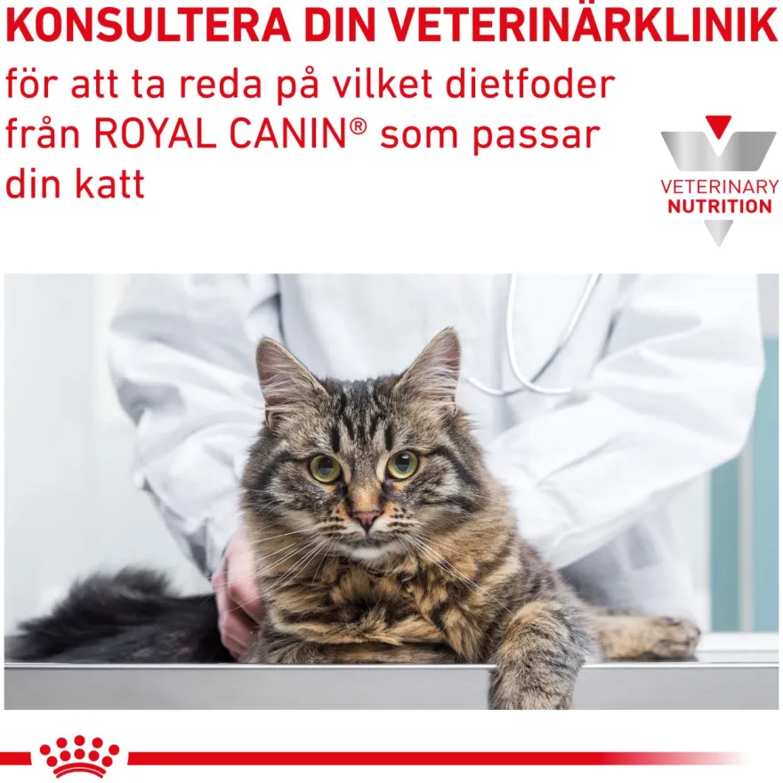 Cat Gastro Intestinal Kitten 400 g