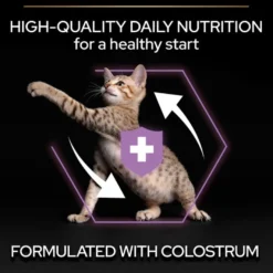 Cat Healthy Start Kitten Kylling 3 kg