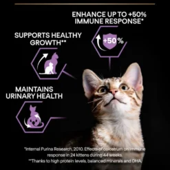 Cat Healthy Start Kitten Kylling 3 kg